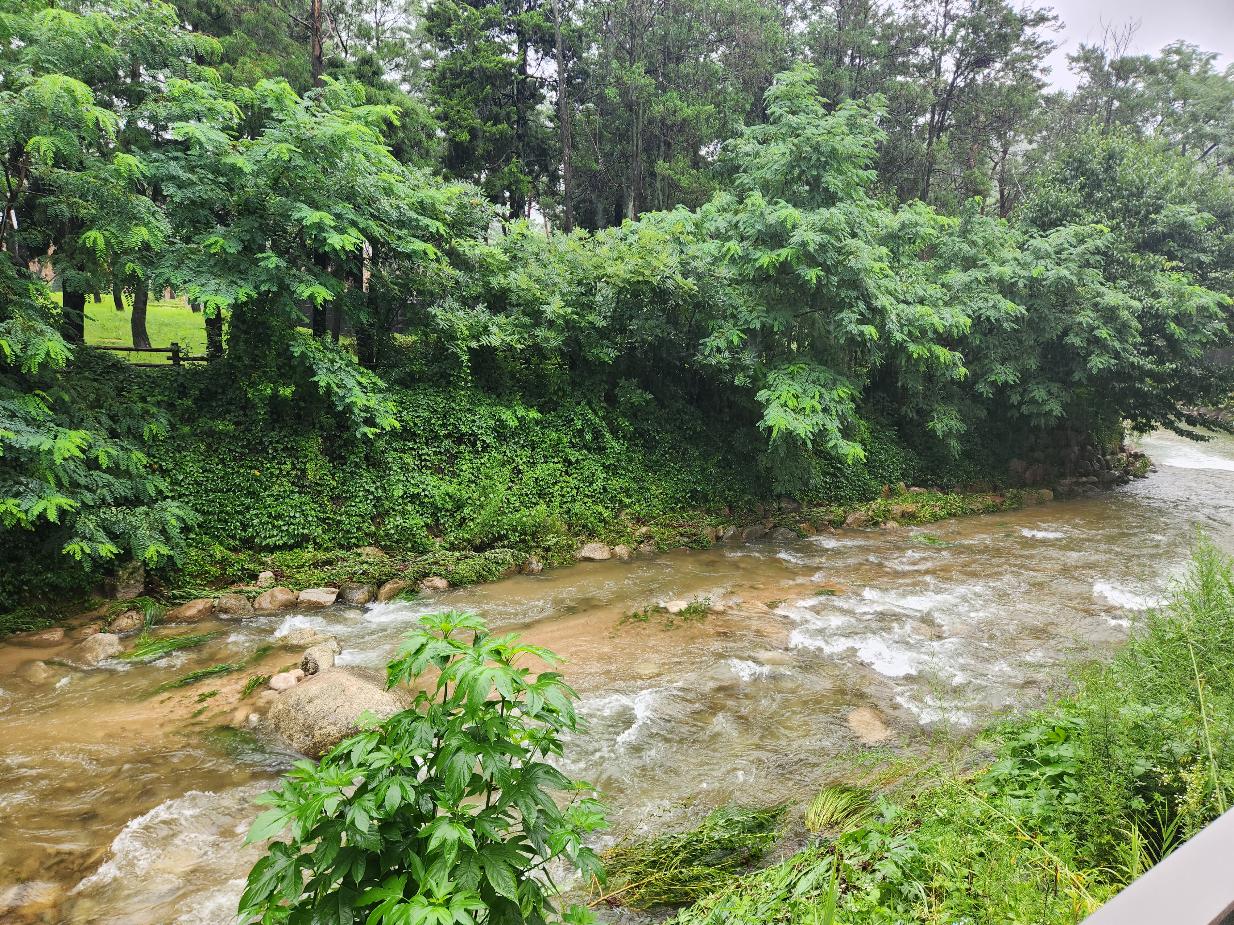 서울에서 즐기는 등산을 위한 서울 대표 명산 추천