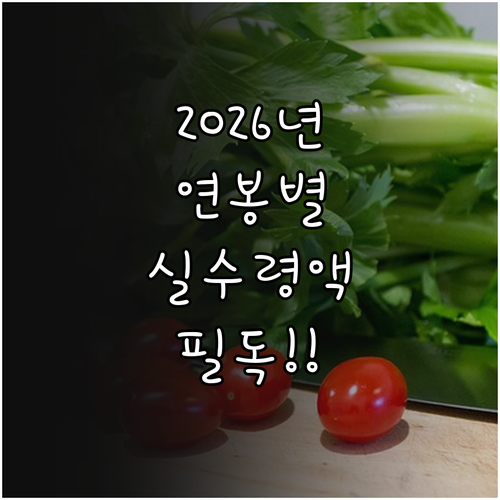 2026년 주요 연봉 구간별 예상 실..