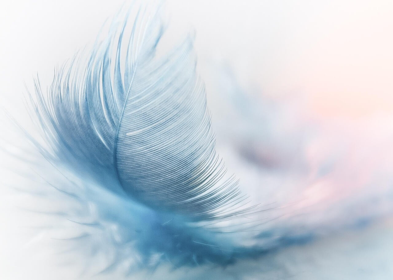 동작구 전세피해임차인 지원금