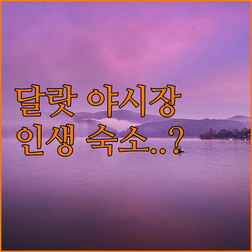 달랏 야시장 인근 숙소 추천 리스트 ..