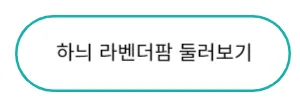 하늬라벤더팜 바로가기
