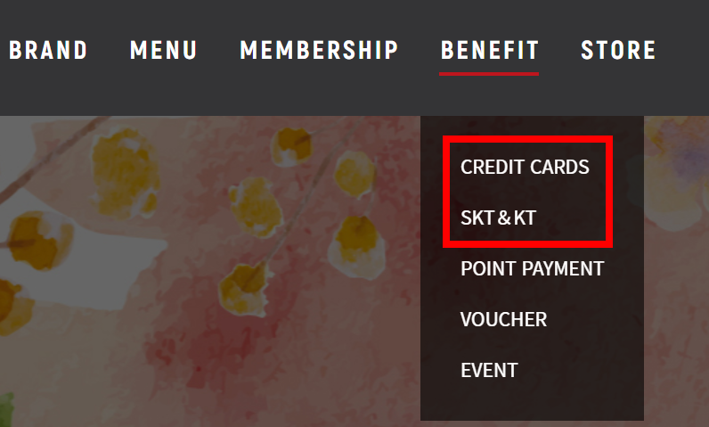 CREDIT-CARDS-SKT-KT