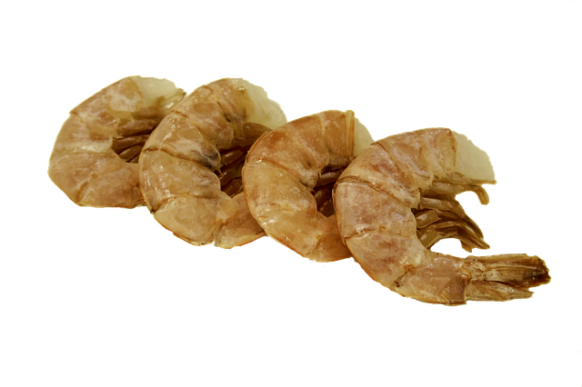 구운-새우-4마리가-나란히-있습니다.