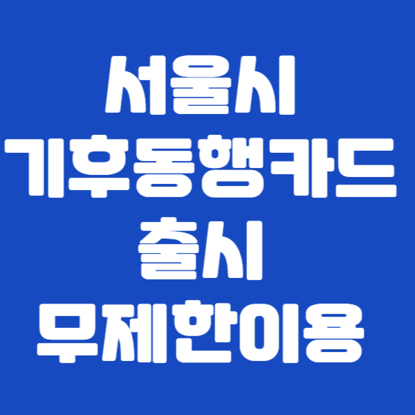 서울시 기후동행카드 출시 무제한이용