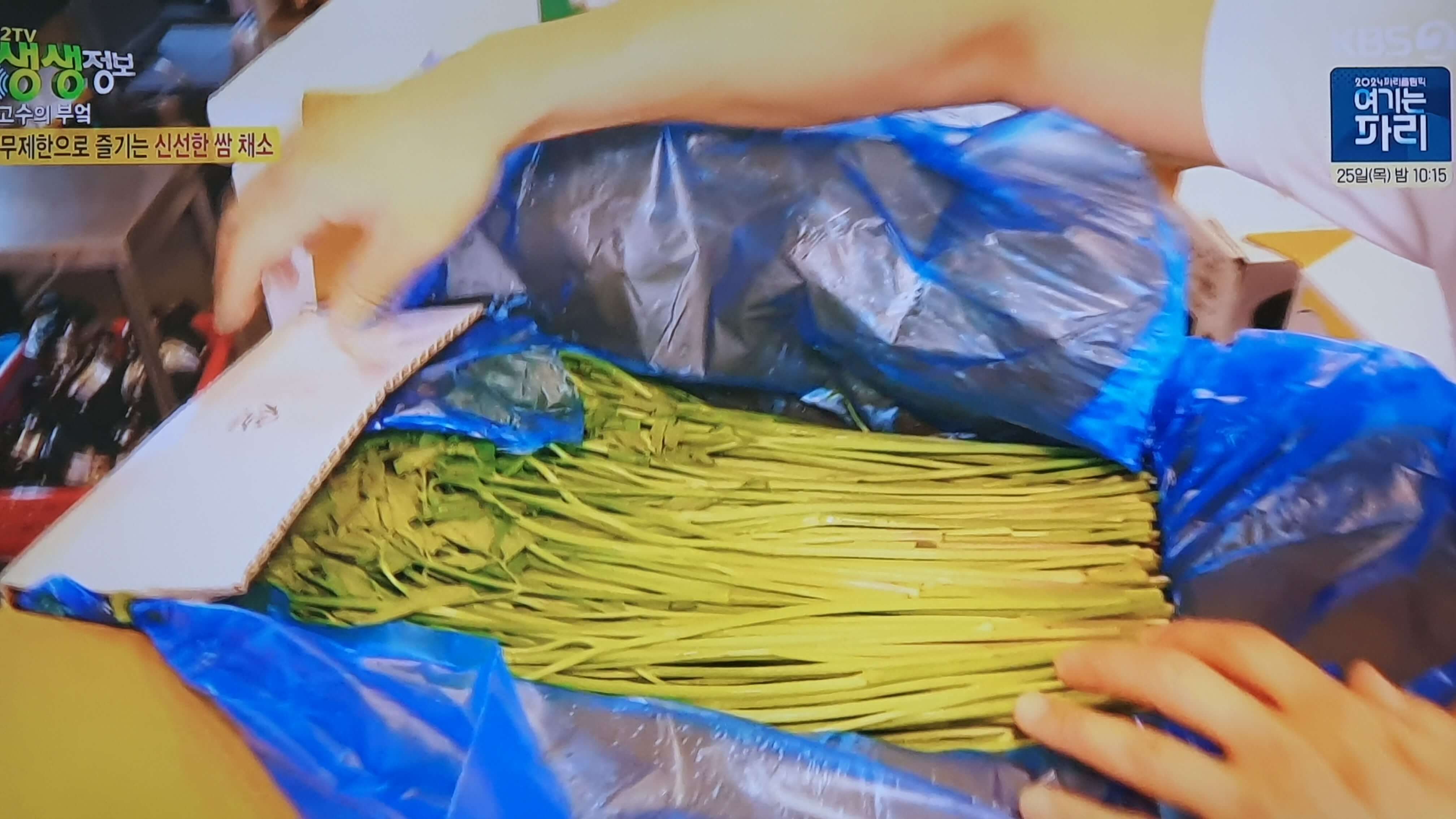 생생 정보통 맛집 맛의 비결