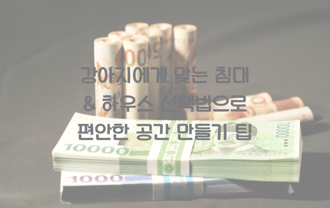 강아지에게 맞는 침대 & 하우스 선택법, 편안한 공간 만들기