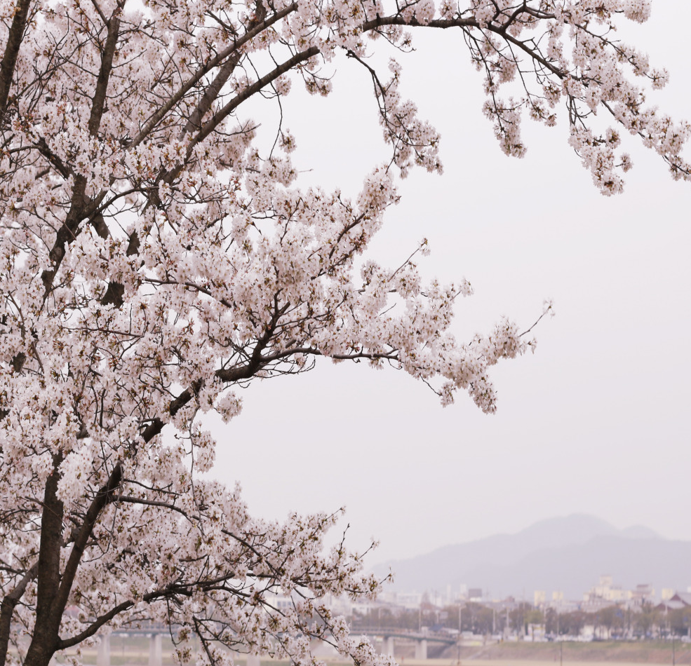 서울 출발 버스 여행 추천 코스