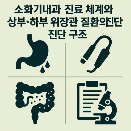 소화기내과 진료 체계 구조와 역할