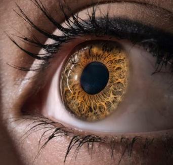 녹내장 치료법 진단 기준 합병증