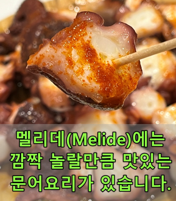 산티아고 순례길 후기, 멜리데, 문어요리