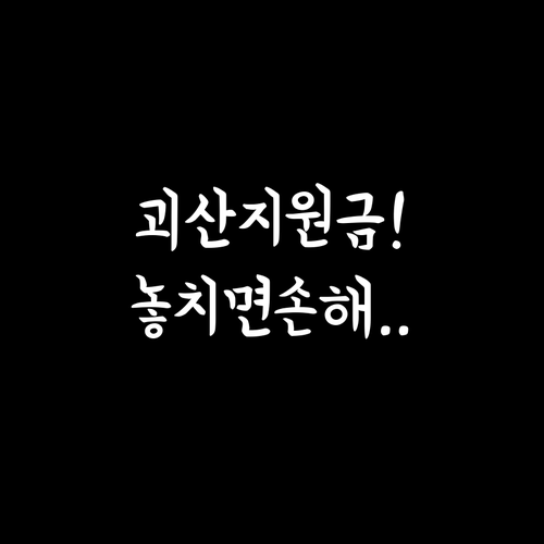 괴산 민생지원금 놓쳤을 때 해결 방법..