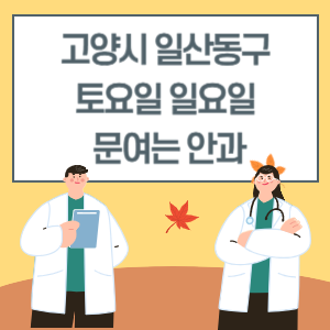 고양시 일산동구 토요일 일요일 안과 진료 문여는 병원 리스트