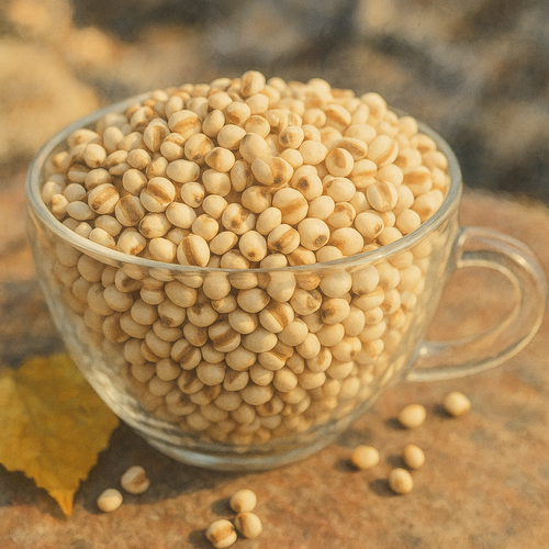 율무차-부작용-주의사항