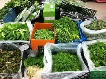 여름나물 종류 10가지 여름 제철 나물 반찬_14