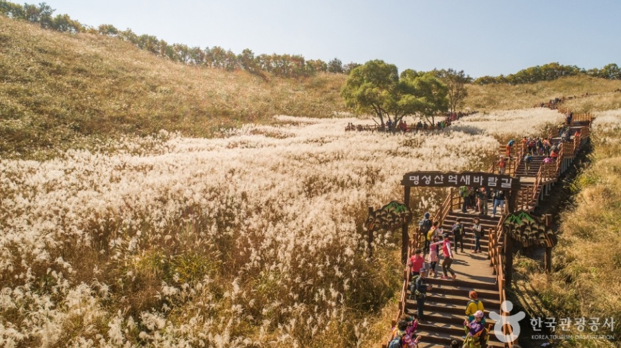 포천 명성산 가을 억새밭 산행 즐기는 방법