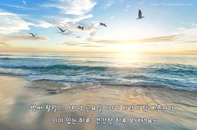 어떻게이럴수가