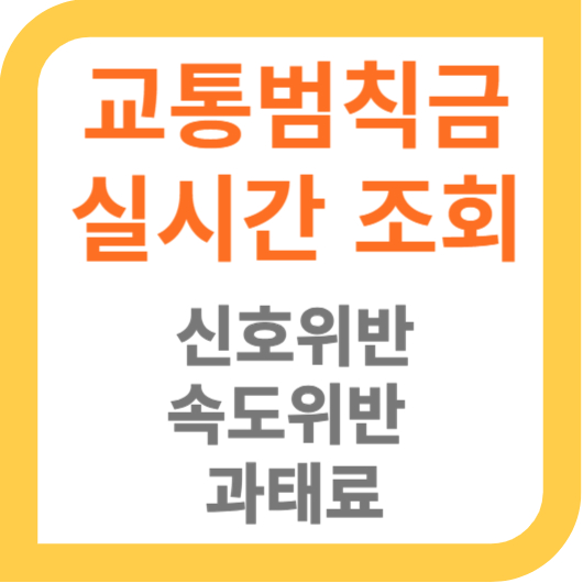 교통범칙금실시간조회 썸네일