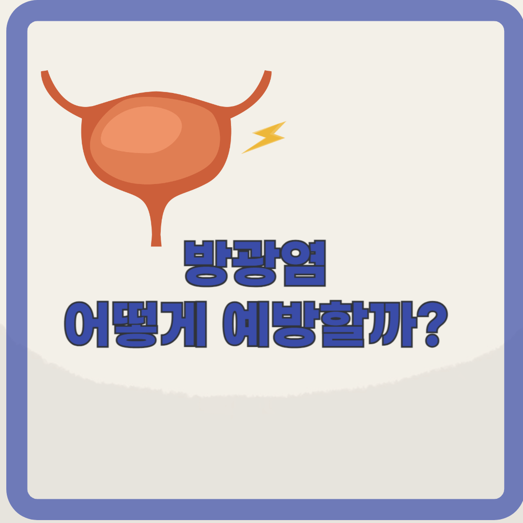 재발이 쉬운 만성방광염. 방광염 예방 알아보기