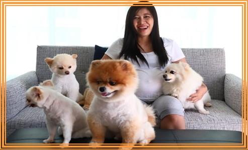 임신 중 애완동물 키우는거 괜찮을까요