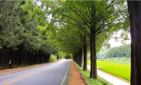 혼자만알고싶은여행지