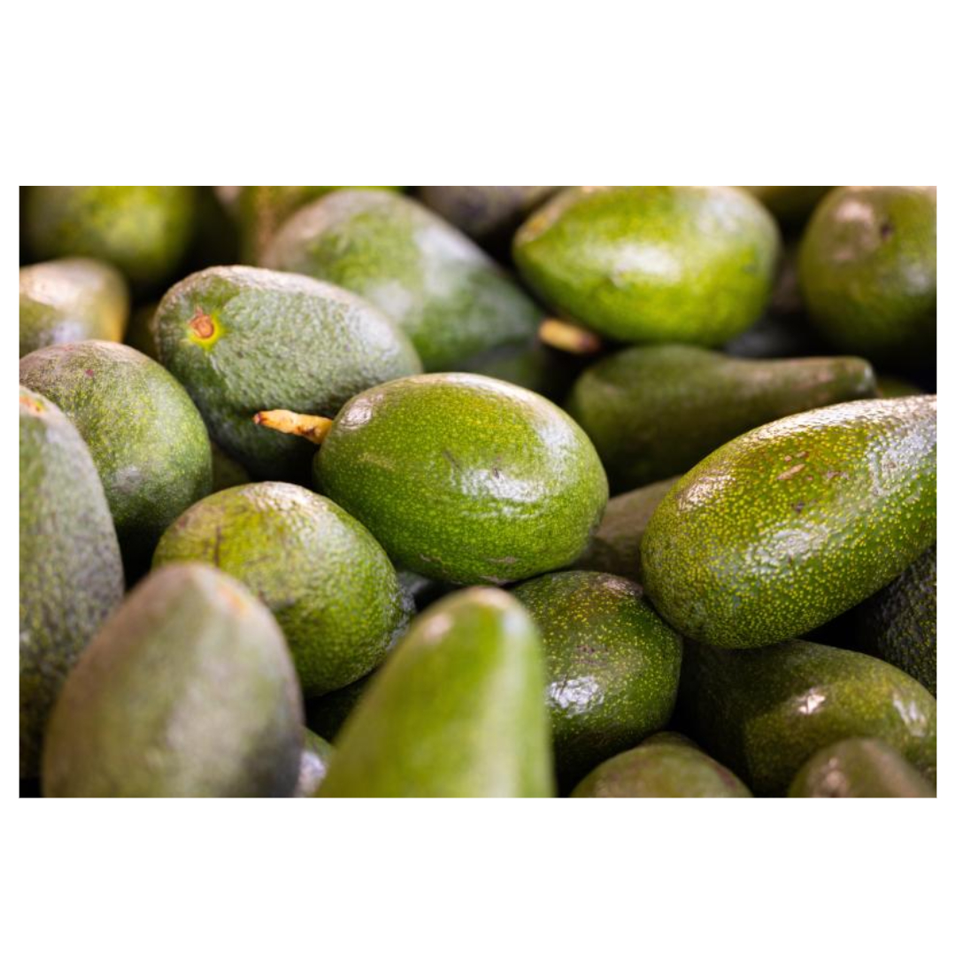 코엔자임 큐텐과 관련된 사진입니다.