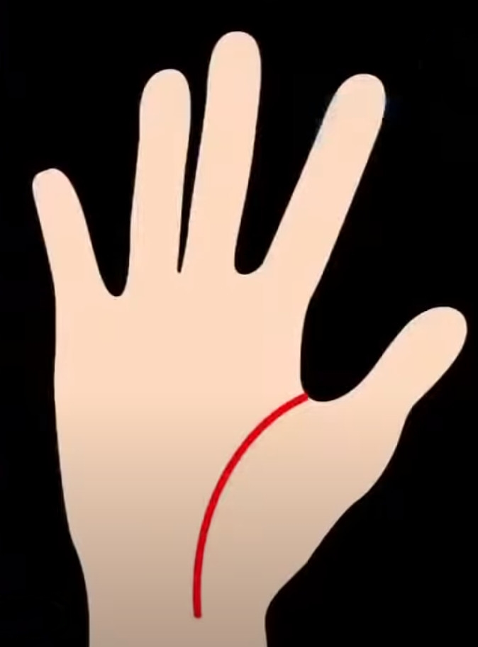 손금 보는 방법 생명선