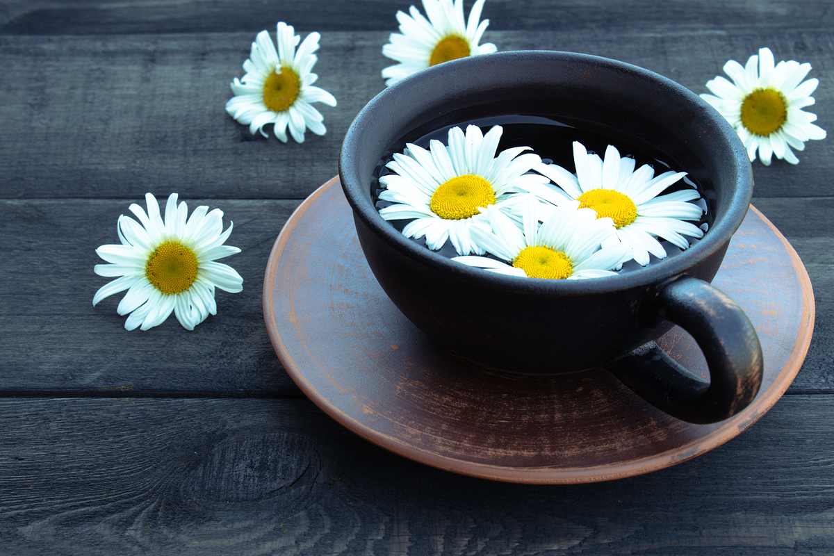 캐모마일차 효능