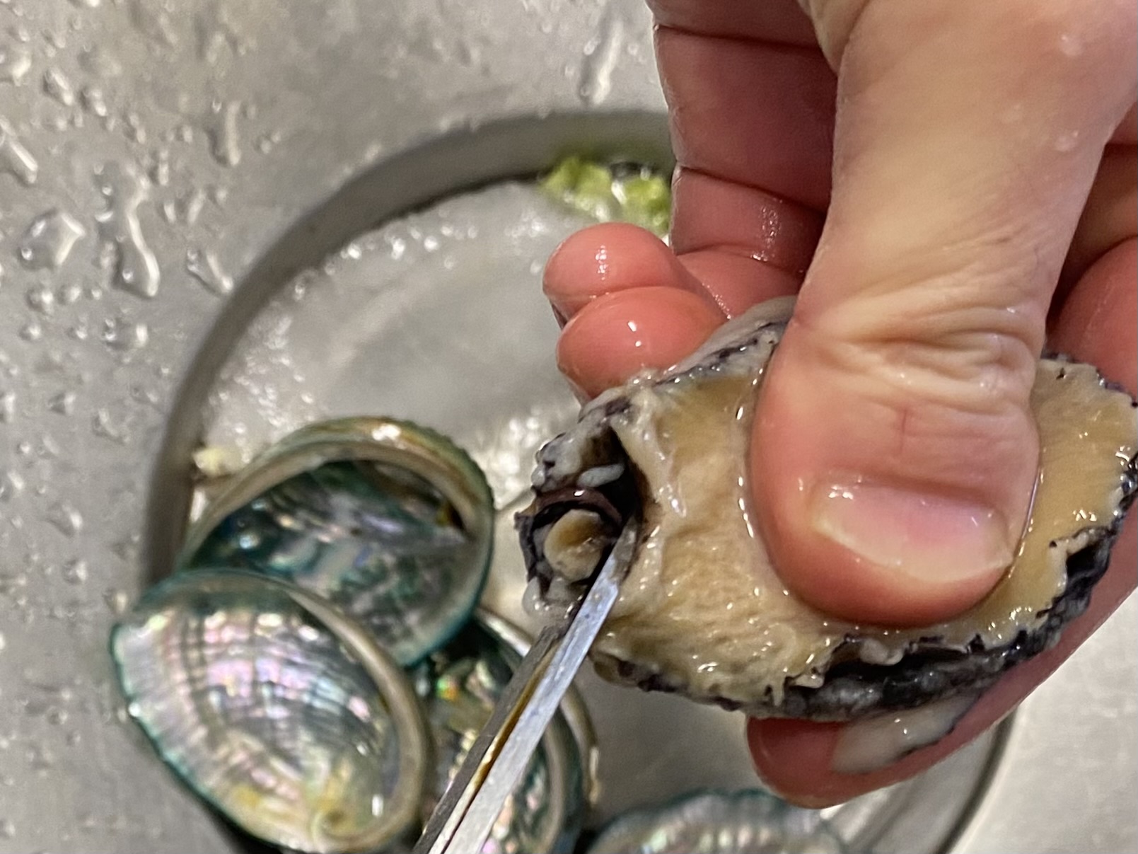전복 이빨 제거 사진