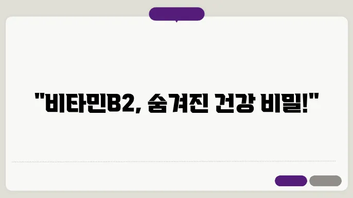 빔타민B2 효능