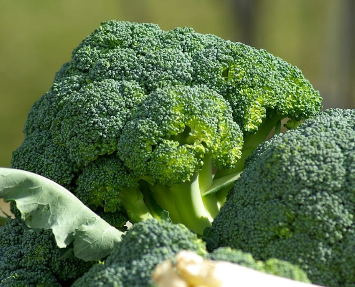 당뇨에 좋은 음식과 나쁜 음식