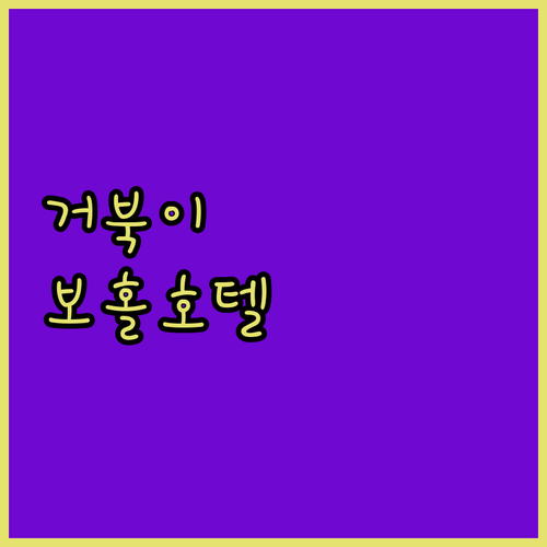 거북이 스노클링 가능한 보홀 숙소와 ..