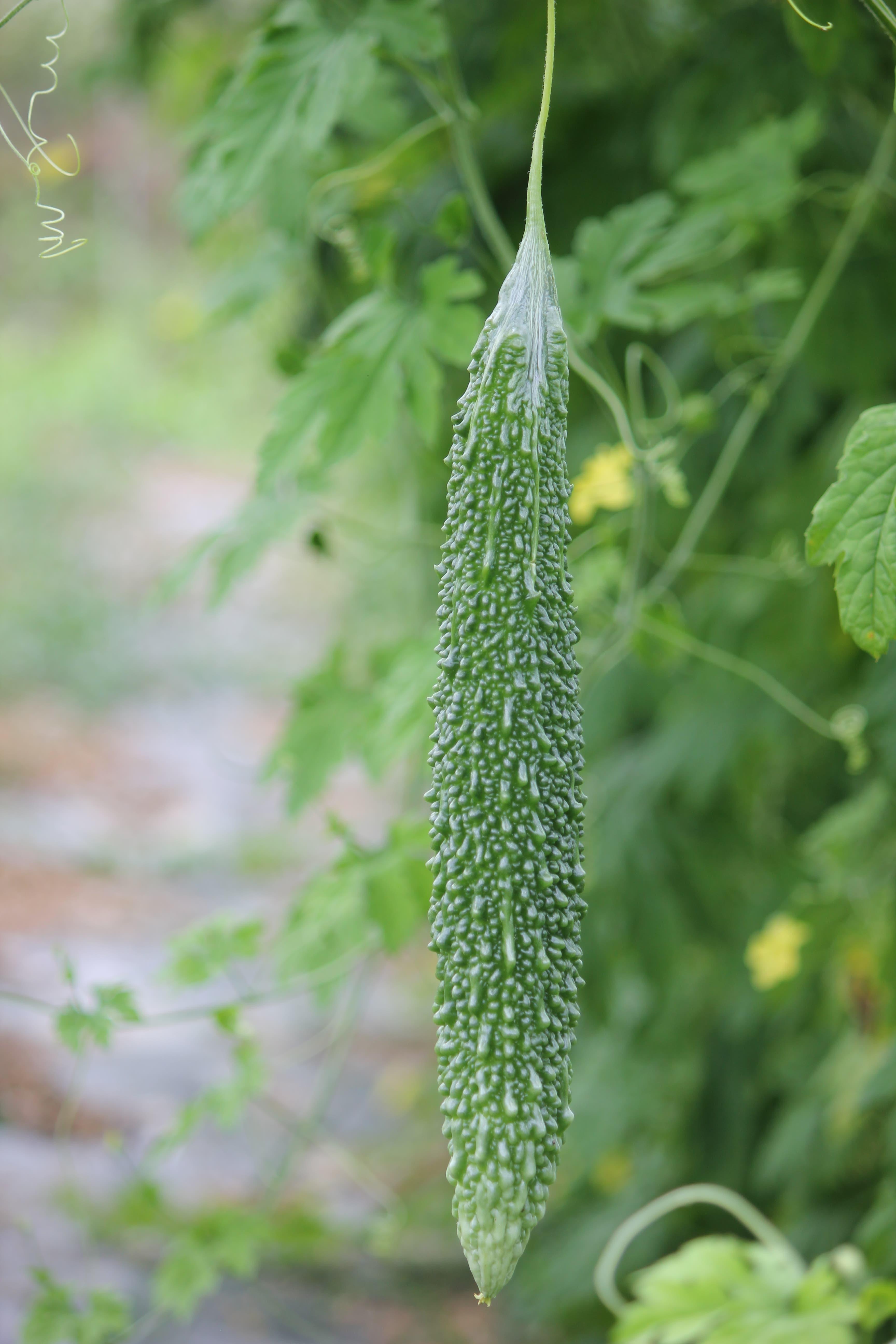 여행경비휴가비절약방법디지털 관광주민증