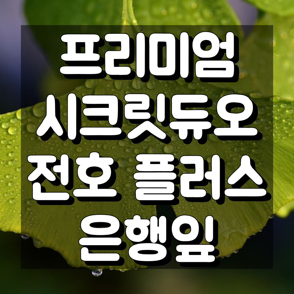 관절, 기억력엔 프리미엄 시크릿듀오 전호 플러스 은행잎 특징 리뷰