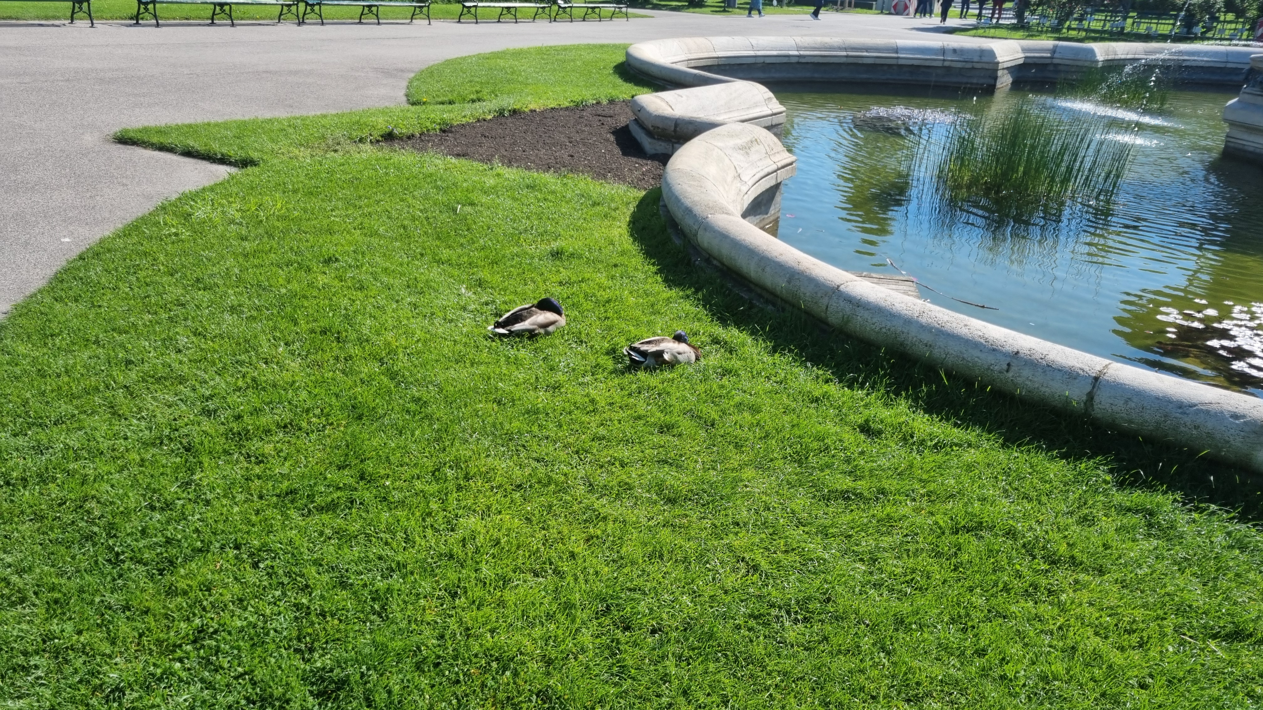 폴크스가르텐(Volksgarten)