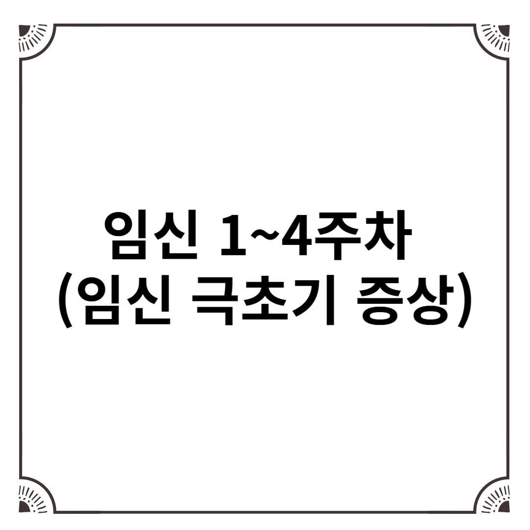 임신 1~4주차 태아 발달 – 착상과 초기 변화 (임신 극초기 증상)