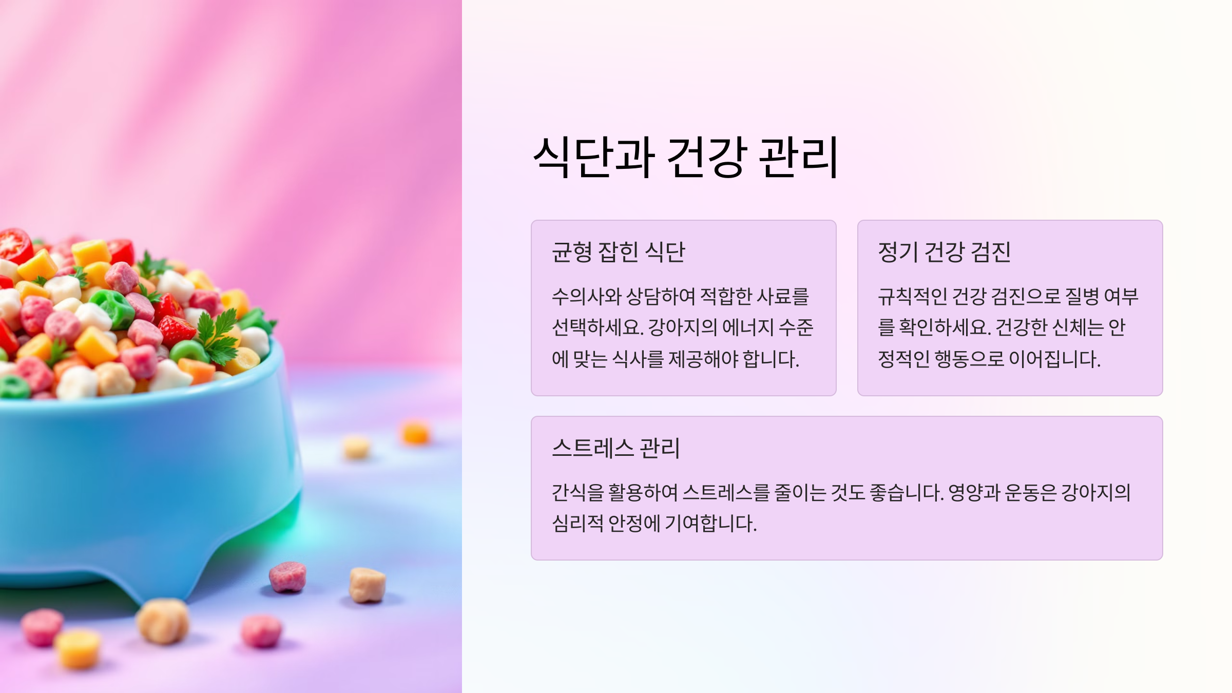 식단과 건강 관리