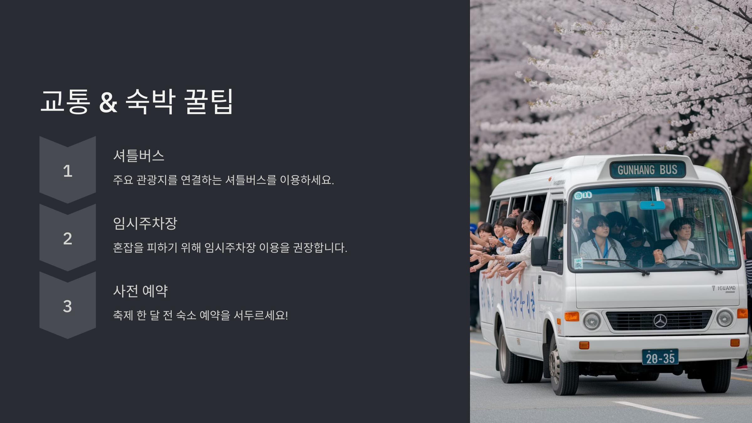 2025년 진해군항제, 벚꽃의 향연 속으로!