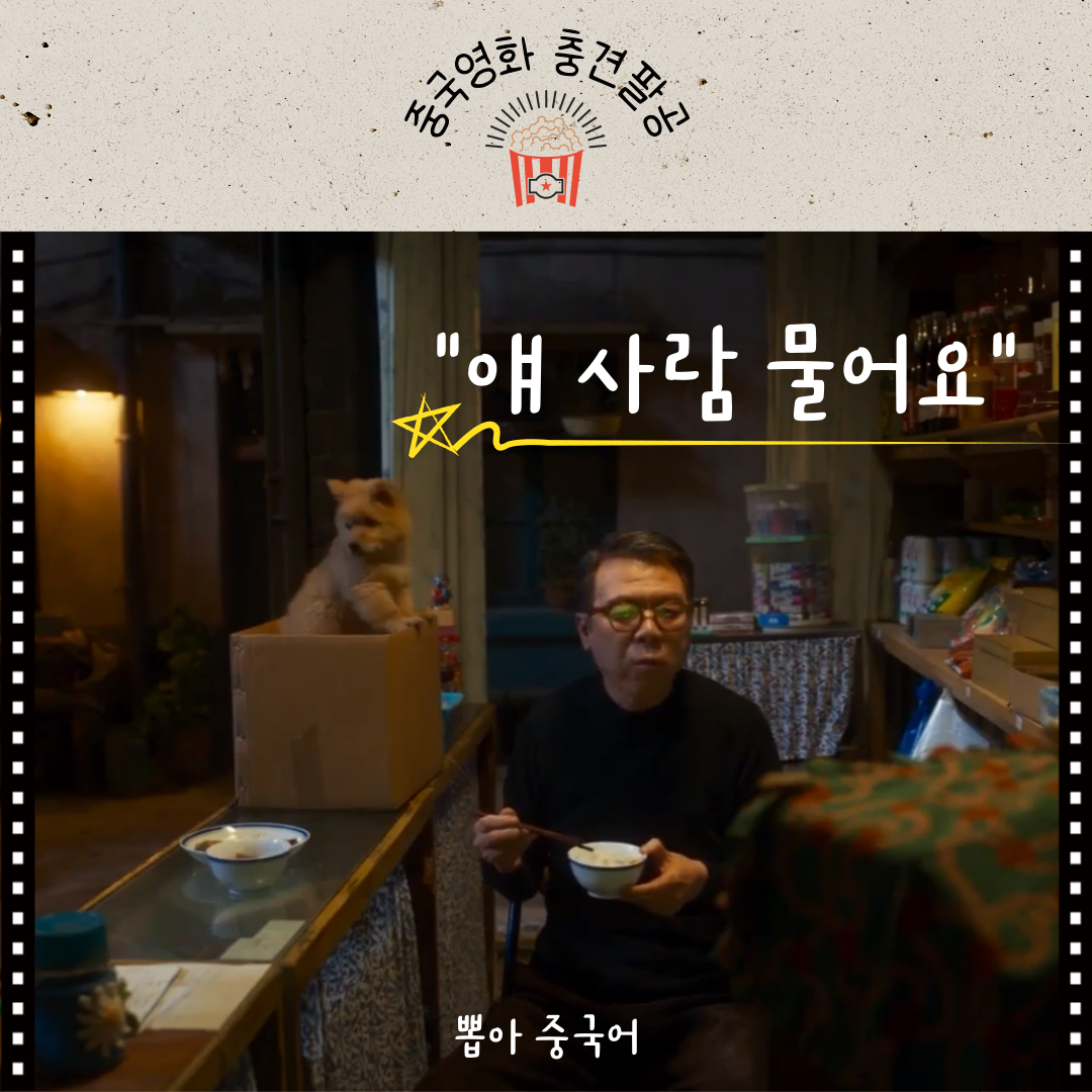 충견팔공