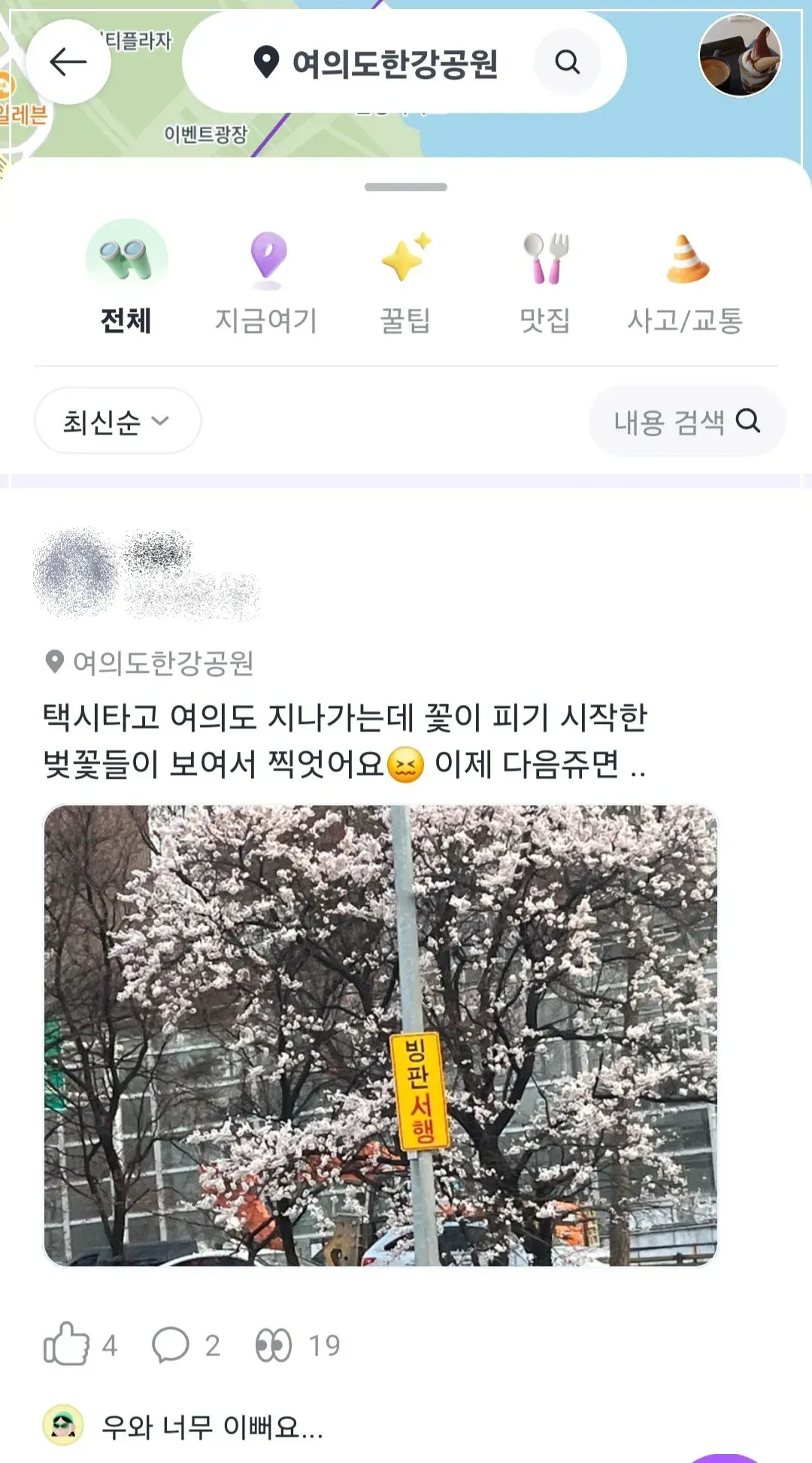 카카오티-여의도-윤중로