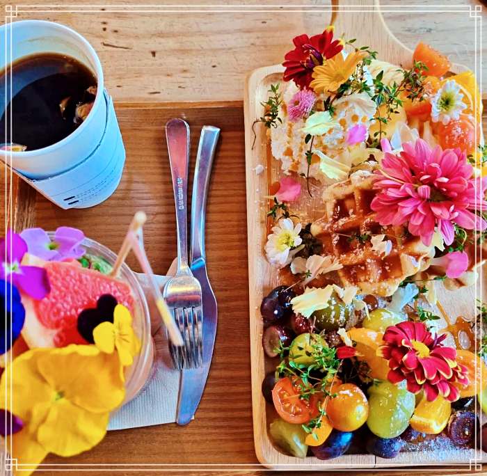 고두심이 좋아서 보령 개화예술공원 인생샷 명소, 감성플라워 꽃담은 과일 와플 디저트 카페 맛집