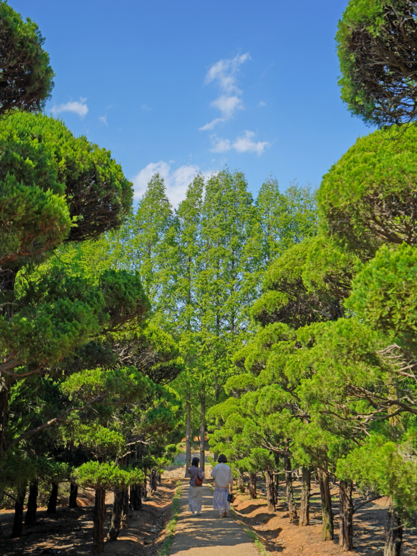 특색있고 아름다운 민간 정원 30선 추천 여행 - 28. 익산 아가페 정원