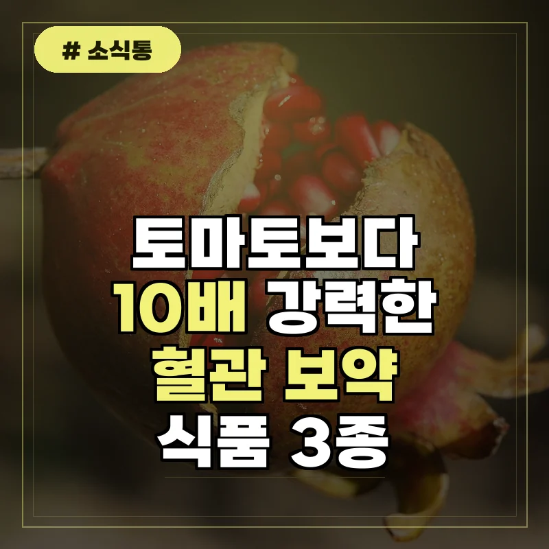토마토보다 10배 좋은 혈관 보약 음식 3가지 매일 챙겨드세요