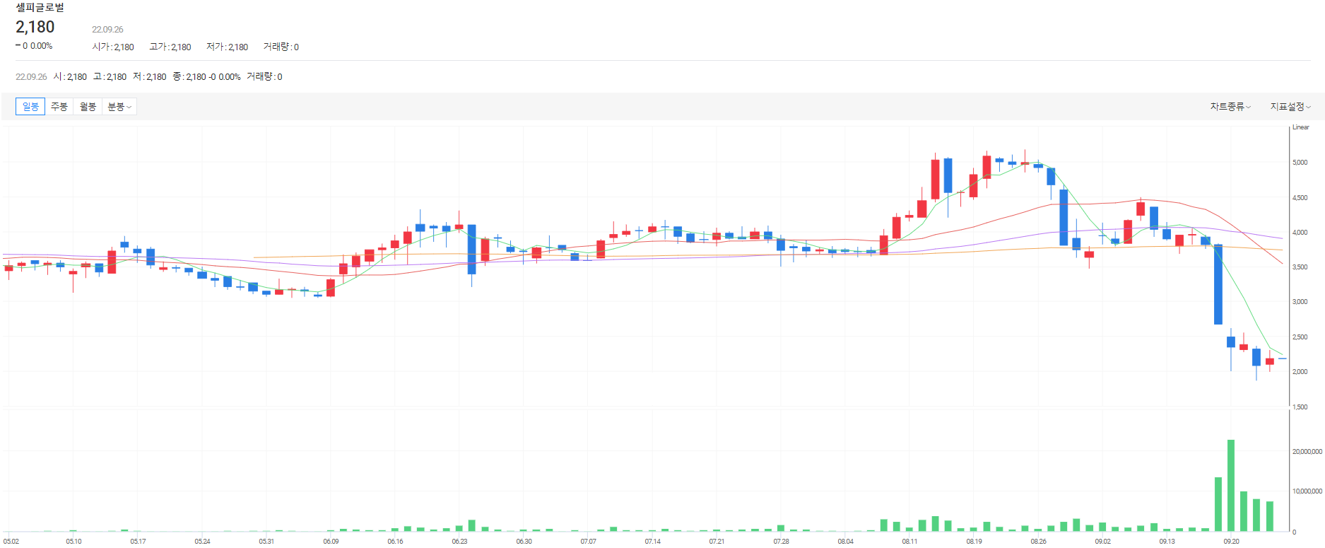 셀피글로벌 주가