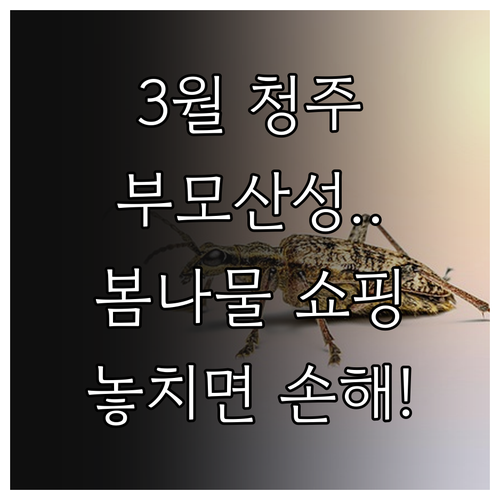 3월 청주 나들이 부모산성 산책과 가..