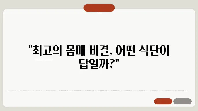 다이어트를 위한 인기 식단 비교