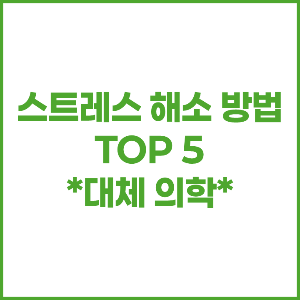 스트레스 해소 방법 top 5 *대체 의학
