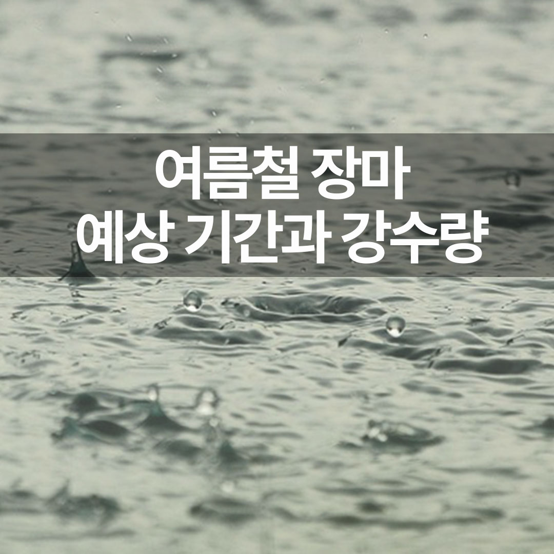 여름철 장마 예상 기간과 강수량