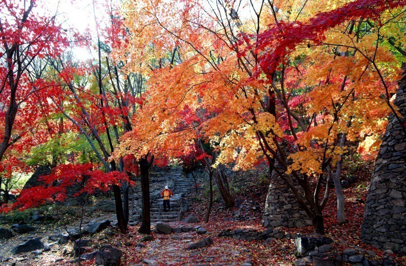 출처 : 충일산악회