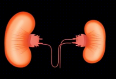 복부초음파 실비보험