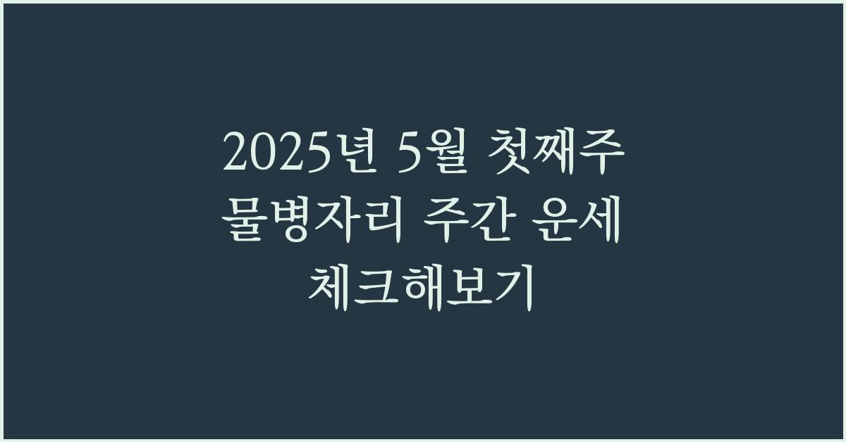 2025년 5월 첫째주 물병자리 주간 별자리 운세